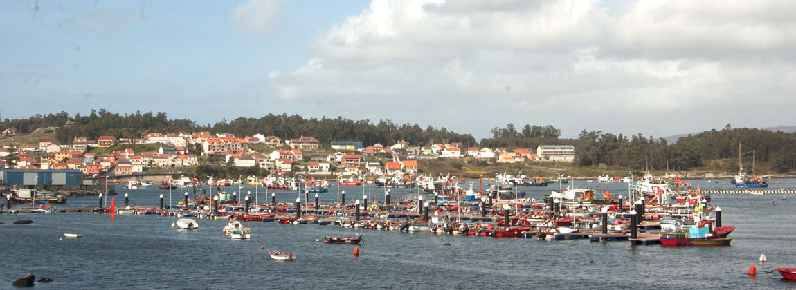 Arousa puertos