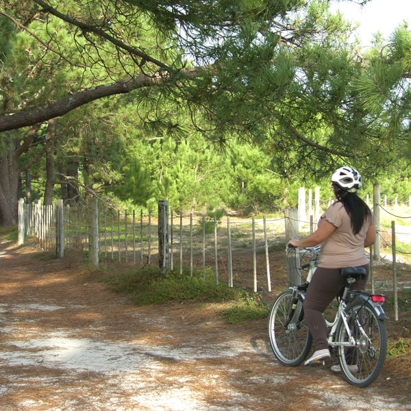 Arousa en bici