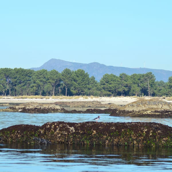 Illa de Arousa parque natural