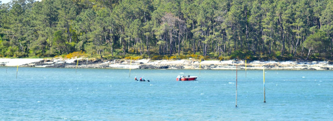 Marisqueo en Carril