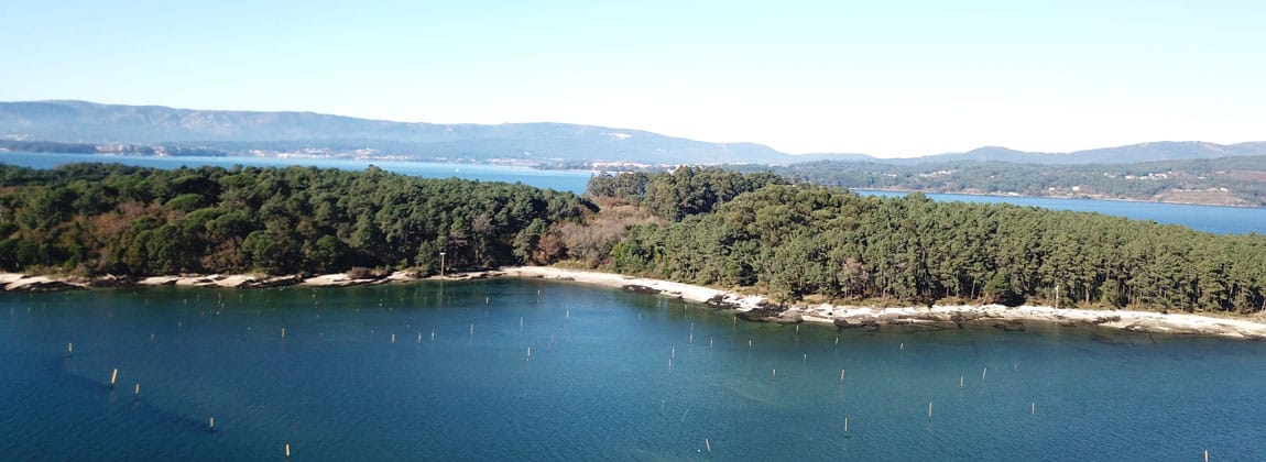 Isla Cortegada Galicia