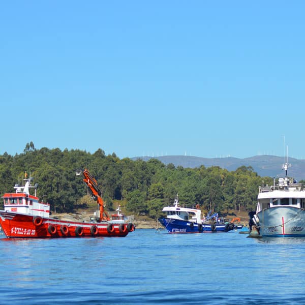 Arousa