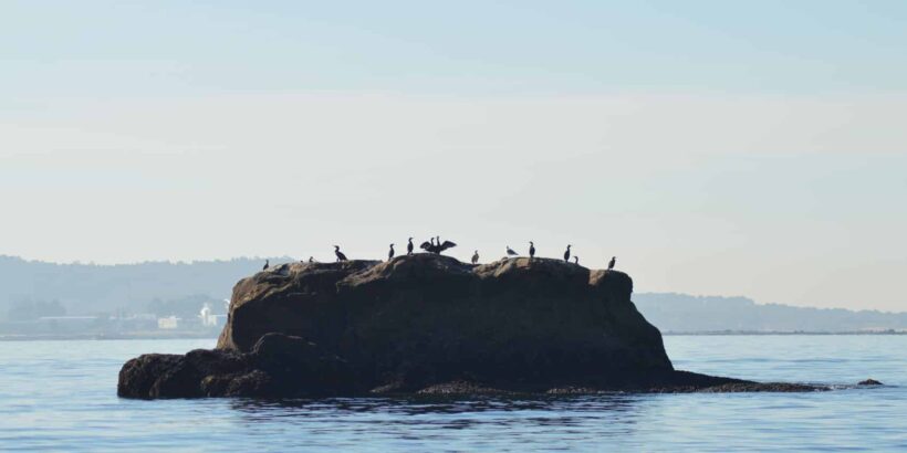 RUTA GUIADA ILLA DE AROUSA