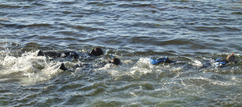 VISITA GUIADA SNORKEL LITORAL