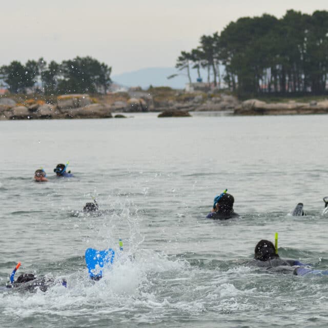 Snorkel Illa de Arousa