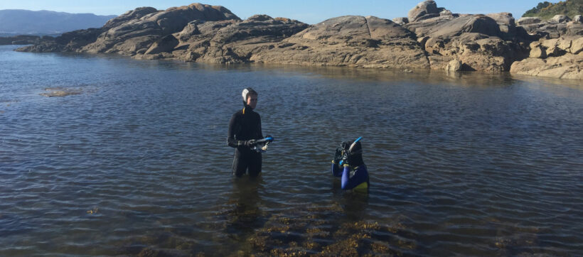 ALQUILER SNORKEL LITORAL