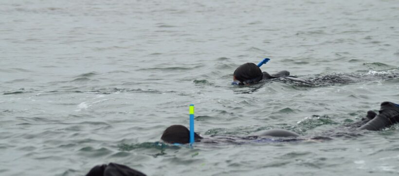 ALQUILER SNORKEL LITORAL