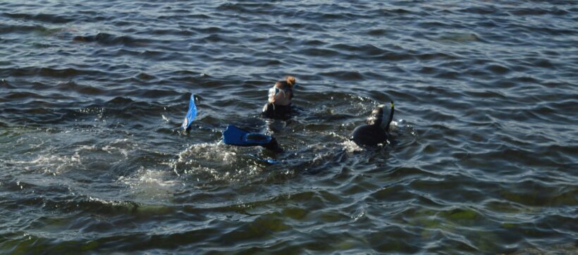 ALQUILER SNORKEL LITORAL