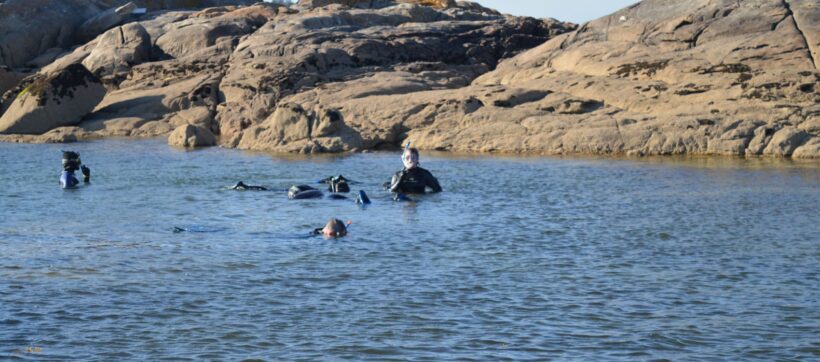 ALQUILER SNORKEL LITORAL