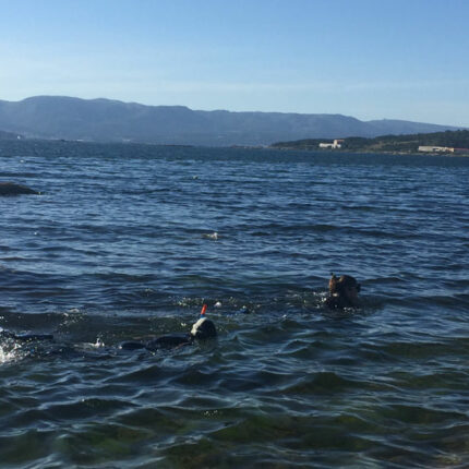 Snorkel Galicia