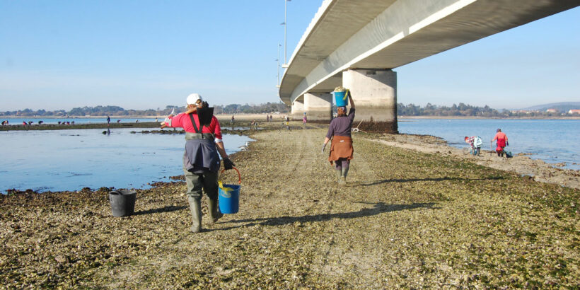 RUTA GUIADA MARISQUEO