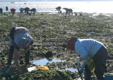 Actividades para grupos en Pontevedra