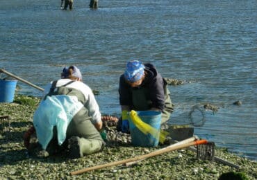 Marisqueo Ría de Arousa