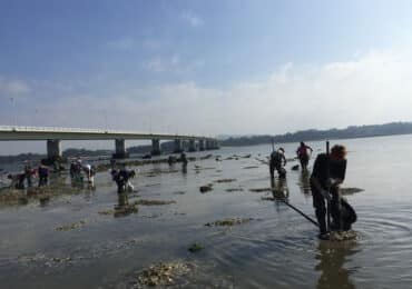 Marisqueo a pe Illa de Arousa