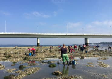 Marisqueo Illa de Arousa