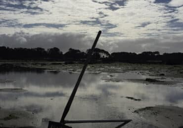 Marisqueo en Galicia