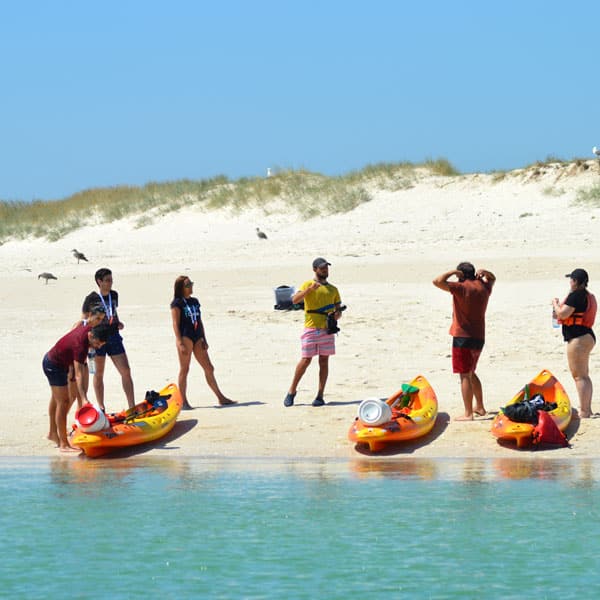 Team building al aire libre