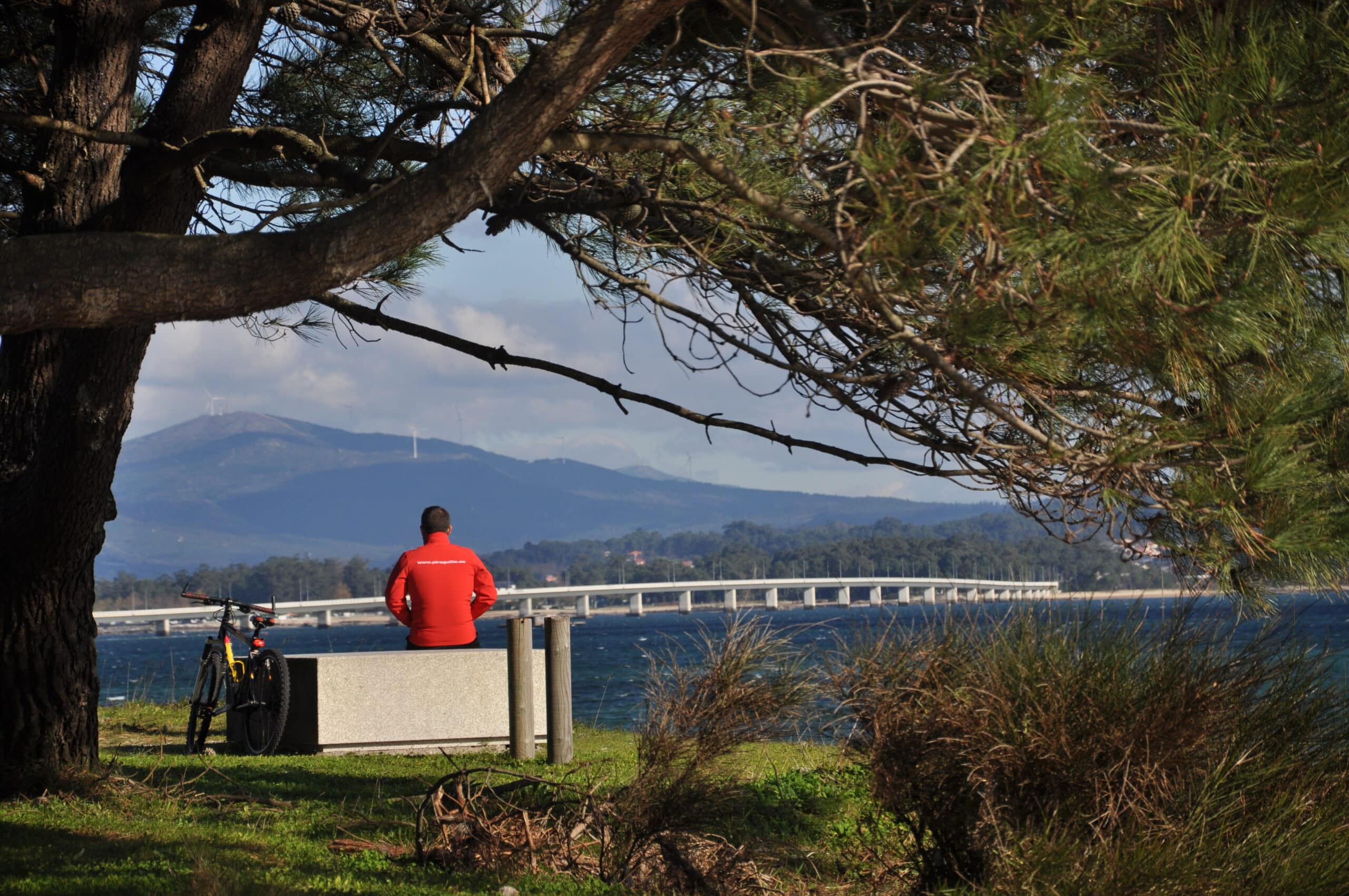 Puente Illa de Arousa