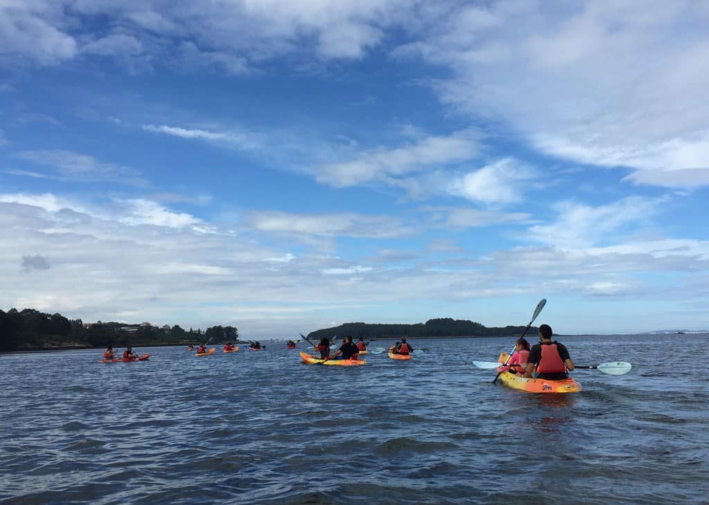 Los asistentes a la ruta en kayak a la isla de Cortegada disfrutando de la travesía en A Ría de Arousa.