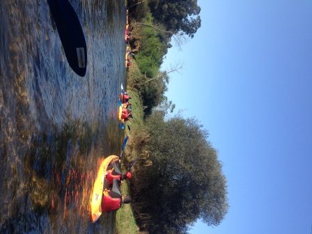 Momento del trayecto en kayak por el río Umia.