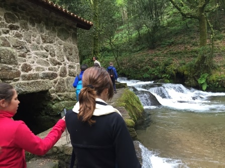 Una de las excursiones con colegios que organizamos es la ruta de senderismo de la piedra y el agua, belleza y naturaleza en estado puro.