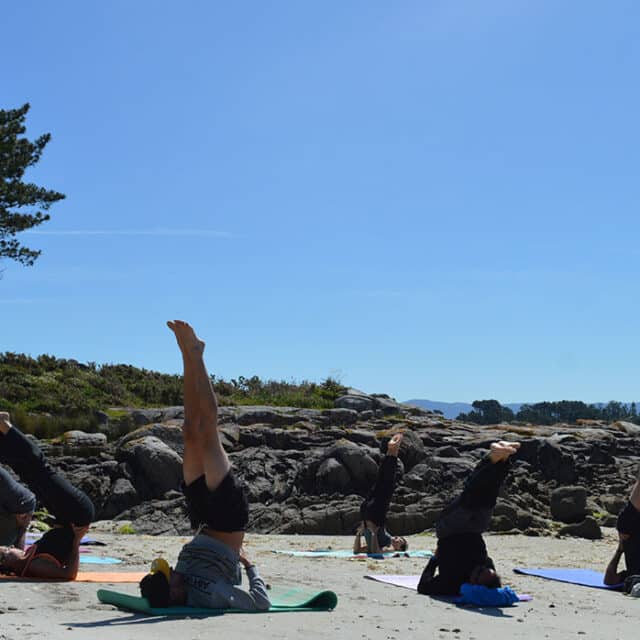 Actividades en Galicia