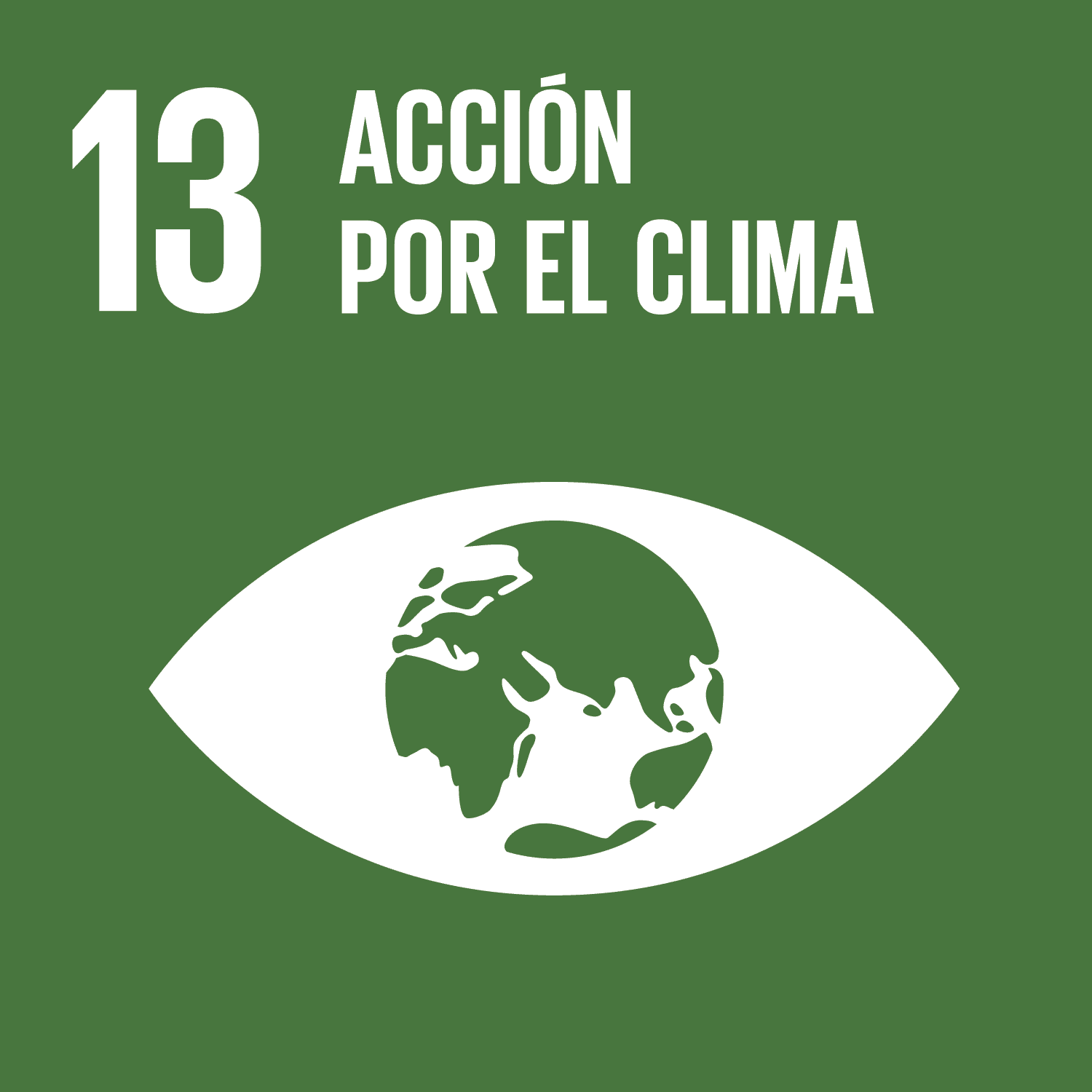 ODS Piragüilla - Acción por el Clima