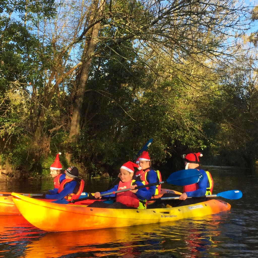 Una navidad divertida