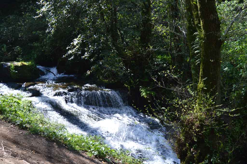 los caminos de santiago que pasan por o salnes