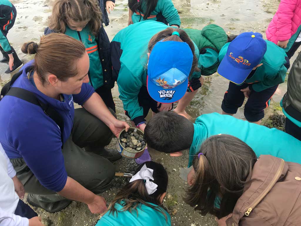 Excursiones escolares en la naturaleza en Galicia