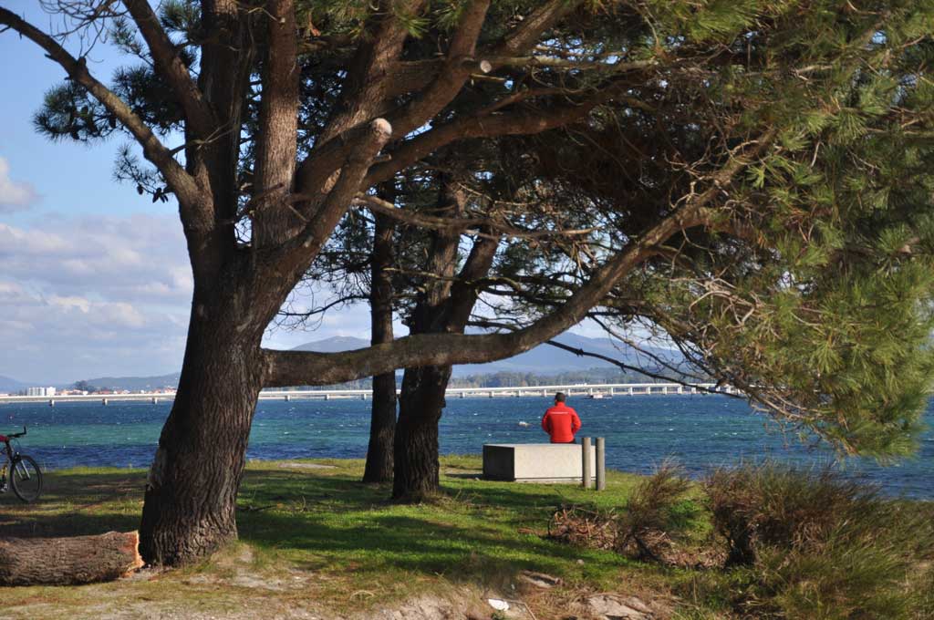 beneficios de las actividades al aire libre