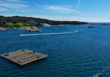 a illa de arousa en kayak