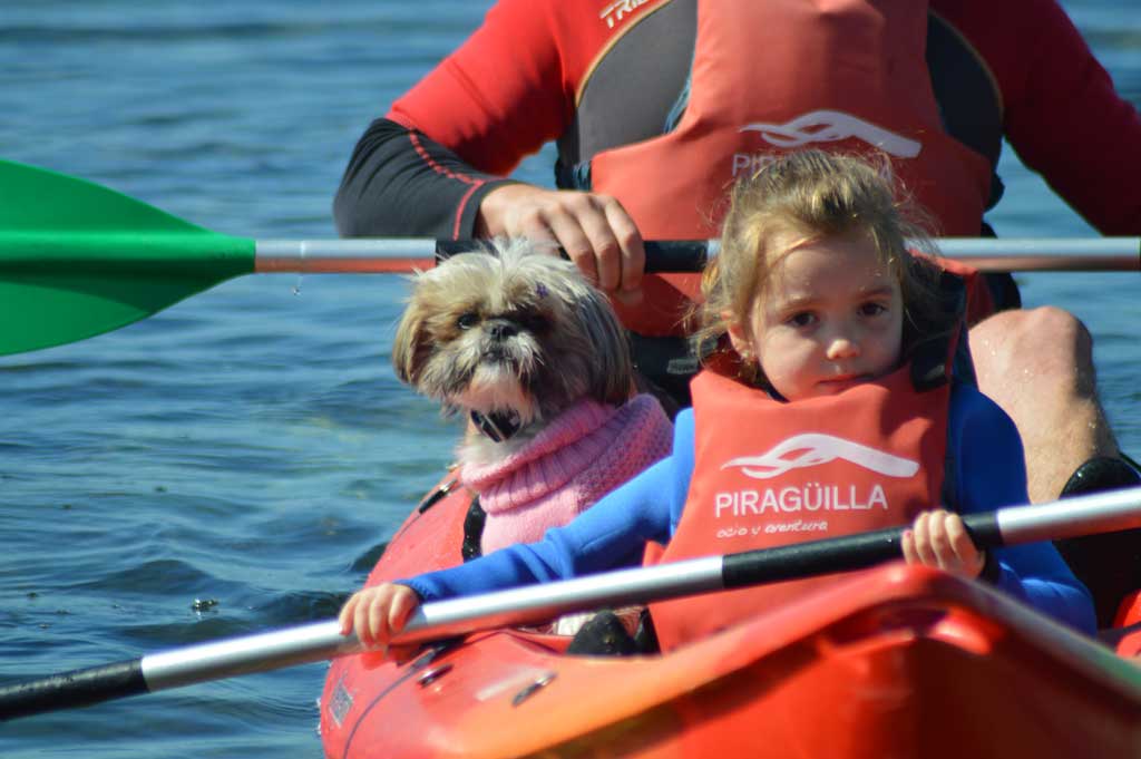 planes petfriendy en o salnes