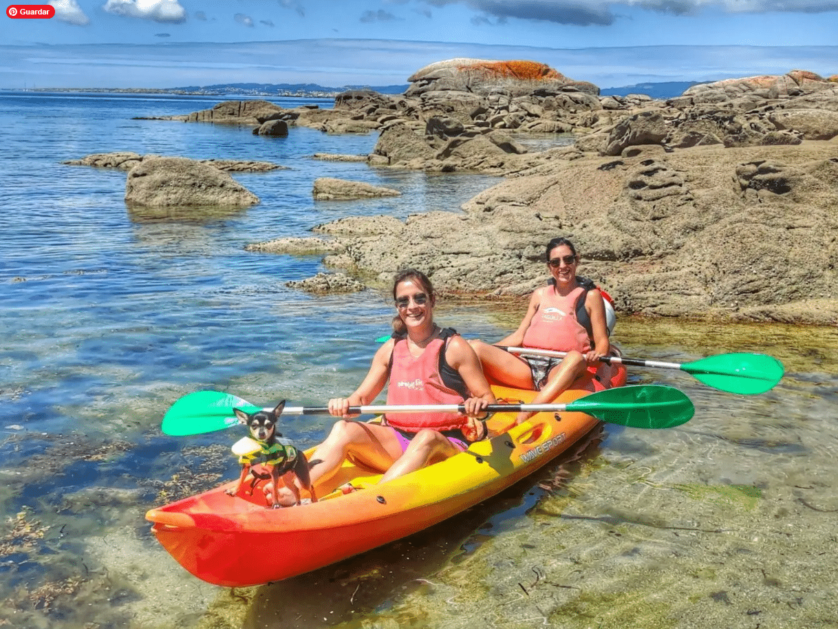 planes petfriendy en o salnes